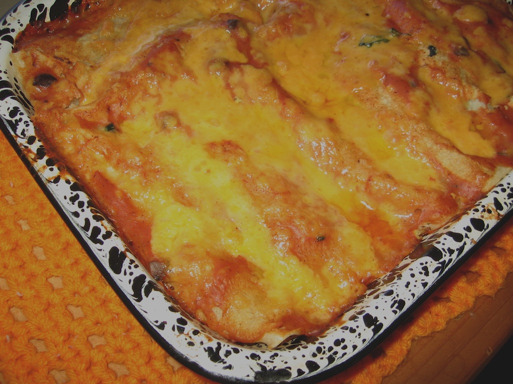 Mushroom Enchiladas